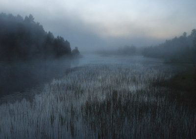 Henkjan-Kievit-Natuurfotoworkshop-natuurfotografie-Nature_Talks-fotoworkshops-fotoreizen