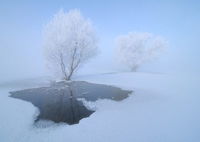 Winters landschap uiterwaarde| Herman van der Hart | Nature Talks | Fotoreizen, natuurfotografie, fotoworkshops