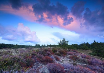 Denemarken Rømø | Herman van der Hart | Nature Talks | Fotoreizen, natuurfotografie, fotoworkshops