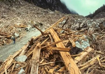 This is a so-called "alternative logging operation" by Macmillan Bloedel from 1991. The company issued a press release stating that this was an example of "World class alternative logging," "The best that we can do." Photography by Garth Lenz.