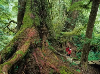 Canada's Wild Pacific Coast - Landscape Photography Tour