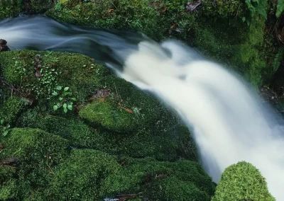 Long-exposure view of a forest stream flowing between moss-covered rocks near Tofino, photographed by Garth Lenz.