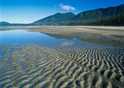 Forested mountains reflected in tidal pools across a rippled sandy beach near Tofino, photographed by Garth Lenz.