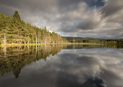 Pine forest, hills and dramatic evening clouds reflected in the still waters of Uath Lochans near Glen Feshie, Scotland.