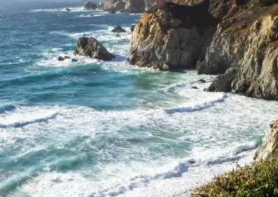 Wildflowers overlooking rugged cliffs and breaking Pacific waves along the California coast.