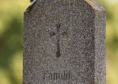 Common kestrel perched on a gravestone in a Vienna cemetery